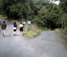 Pellegrini camminano su una strada alberata che si biforca, accanto a un cartello del Cammino